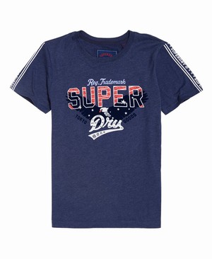 Superdry Eagle Star Flock Női Pólók Kék | OFHDQ8295